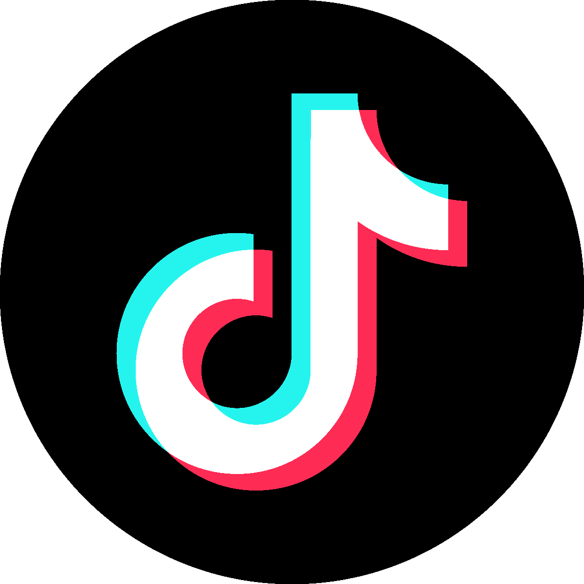 TikTok Ads & Shop